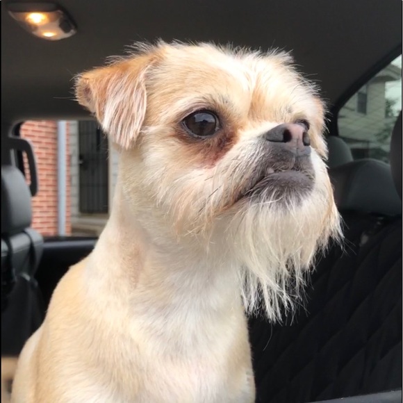 Meet your Posher, Shannon - Picture 1 of 1